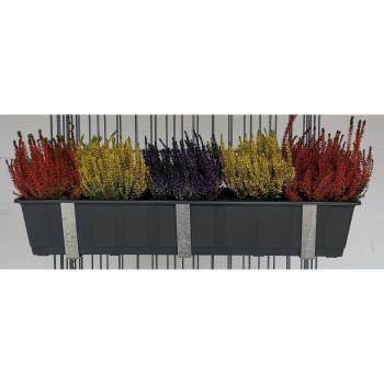 Support de caissettes à fleurs en acier galvanisé
