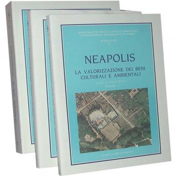 Neapolis. Progetto sistema per la valorizzazione delle risorse ambientali e artistiche dell'area vesuviana