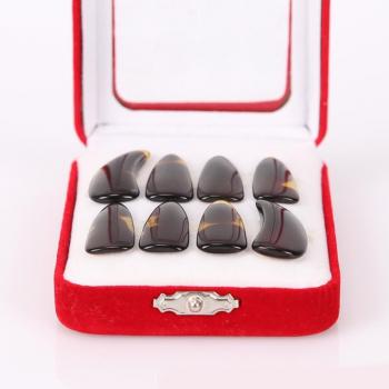 Professional Guzheng Nail Set with 8 Picks
