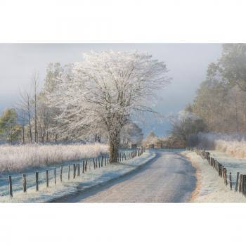 Papermoon Poster‑Tapete „Frostiger Morgen“ (Chris Moore)