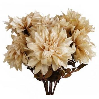 Creamed Dahlia Stem Collection – 6 × 55 cm