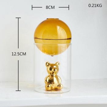 Elegant Transparent Hydroponic Flower Vase