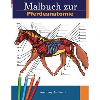 Malbuch zur Pferdeanatomie: Unglaublich detailliertes Arbeitsbuch zum Selbsttest der Pferdeanatomie | Perfektes Geschenk für Tiermedizinstudenten, Pferdeliebhaber und Erwachsene