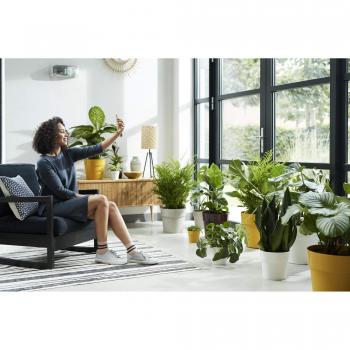 Original Elho Peach Vase – 18 Indoor