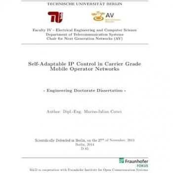 Self-Adaptable IP Control in Carrier Grade Mobile Operator Networks