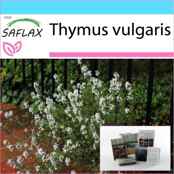 SAFLAX Timo 200 – Pacchetto Regalo