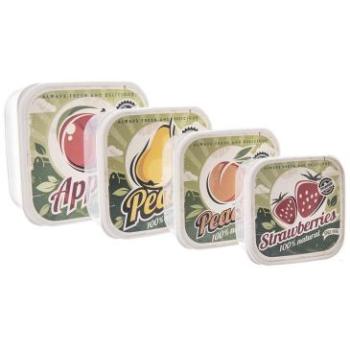Boîtes Alimentaires Multicolores avec Motifs de Fruits