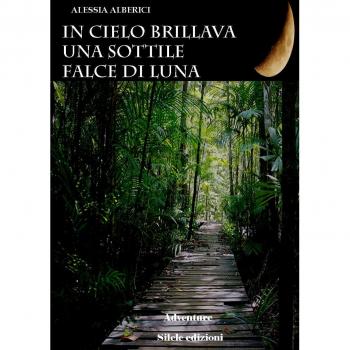 In cielo brillava una sottile falce di luna