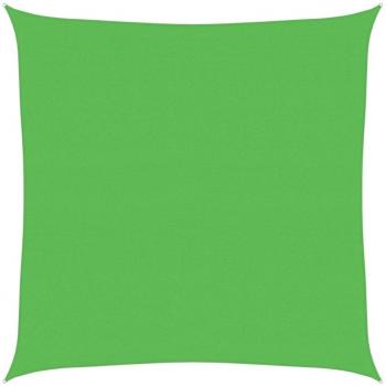 4x4 m Light Green Sunshade Sail 160 g/m² vidaXL