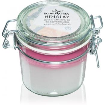 Scrub Corpo al Sale Rosa 250 ml
