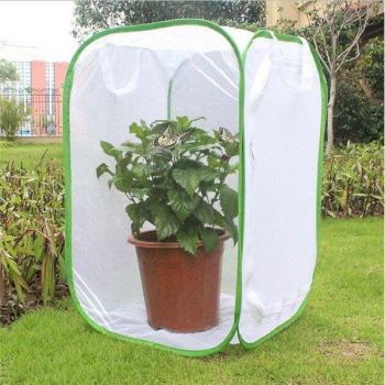 Transparent Mesh Insect Habitat Box