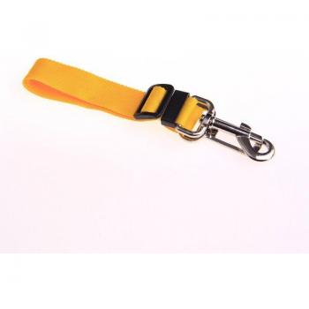 Kitten Puppy Travel Strap Lead