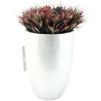 EUROPALMS Leichtsin Argento Lucido Cup-69