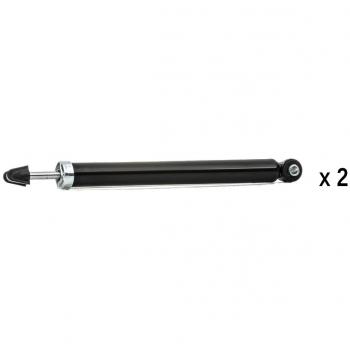 RIDEX 854S20247 Système d'amortissement
