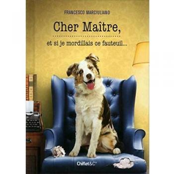 Cher Maître et si je mordillais ce fauteuil
