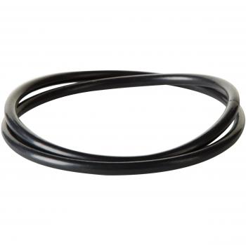 Guarnizione 245mm Actua Authentique SEB 790142