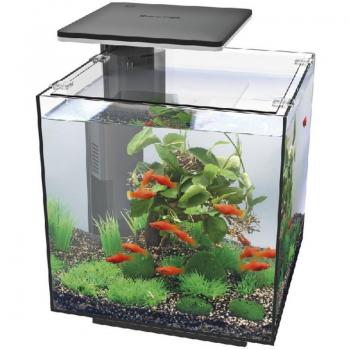 Superfish Qubiq 30 Pro LED-verlichting