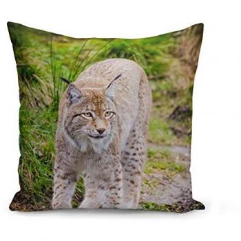 Housse de coussin Photo Grand Lynx 40x40 cm