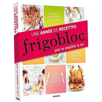 Aurélie Briday Frigobloc : Une Année De Recettes Pour Se Simplifier La Vie !