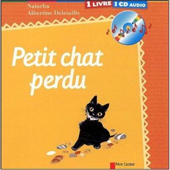 Le petit chat perdu