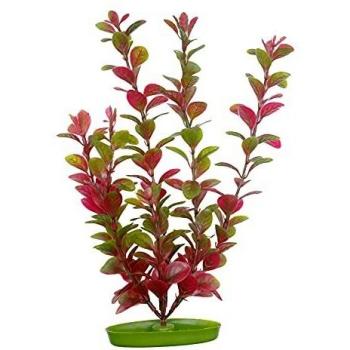 Marina Dekopflanze Red Ludwigia 30cm