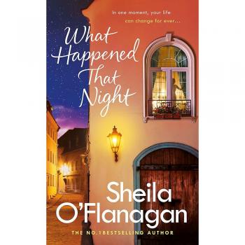 What Happened That Night