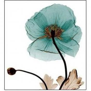 Zozack 3 Kreuzstich Blumen Set 68*75cm, 11CT, DMC gezählt