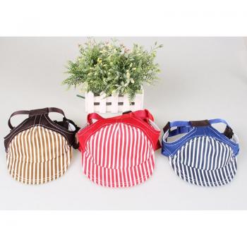 Chapeau Coupe-Vent pour Animaux