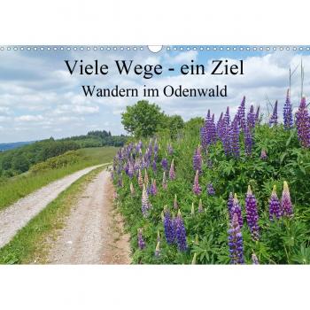 Viele Wege