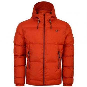 Dare 2B Herren Steppjacke „Endless IV“ – Dunkelbräun, M