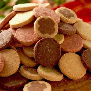 Lab Winter 1kg Okara Cookie Pack