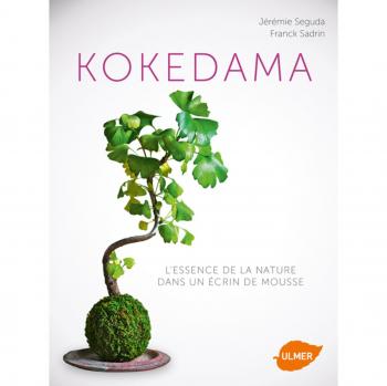 Kokedama. L'essence de la nature dans un écrin de
