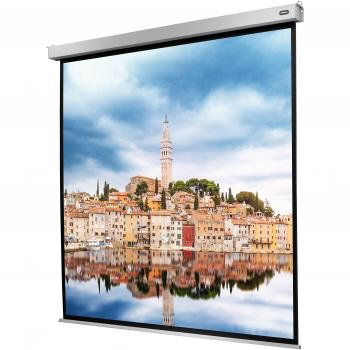 Celexon Professional Plus Pantalla de Proyección Eléctrica 240x240 cm