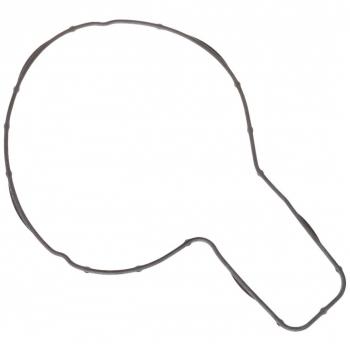 ELRING Dichtung Wasserpumpe 545.790