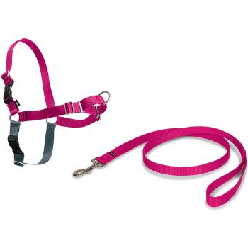 Easy Walk Harnais M – Framboise – Résistant et Facile à Mettre