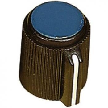 Plastic Blue Pointer Knob (6.35 mm) with Color Cap