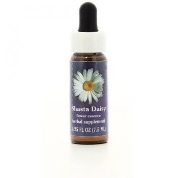 Shasta Daisy Essenza Californiana 7,4 ml