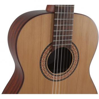 Rodriguez T‑62, Série Tradition – Tailles 7–8