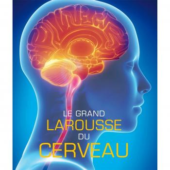 Le grand Larousse du cerveau
