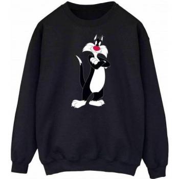 Looney Tunes Frau Sylvester Arm‑Crossed Hoodie XXL in Schwarz