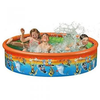 Wehncke Pool‑Fix 240 × 50 cm
