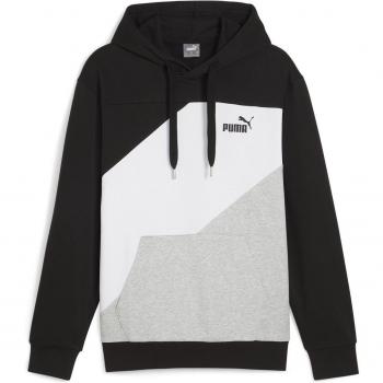 PUMA Herren Kapuzensweat POWER Colorblock Hoodie
