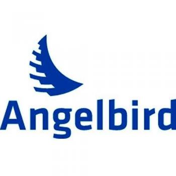 AngelBird AVP256CFX2 512 GB SDHC Karte