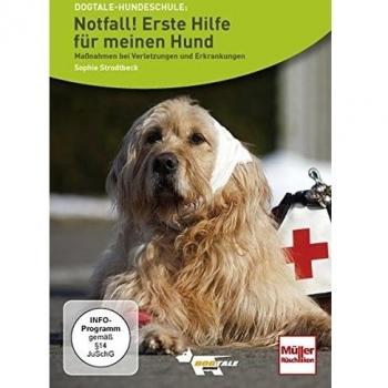 Notfall! Erste Hilfe für meinen Hund: Maßnahmen bei Verletzungen und Erkrankungen