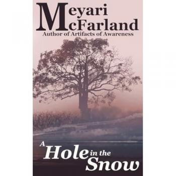 A Hole in the Snow