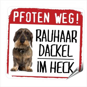 Decalcomanie Auto Cani Bassotto Riflettenti