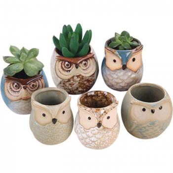 6Pcs Owl Ceramic Flower Pot Set
