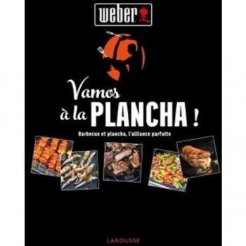 Vamos À La Plancha ! : Barbecue Et Plancha, L'Alliance Parfaite