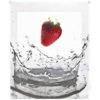 Tapa de techo HAPPYSTOR 180 cm – Transparencia estampada