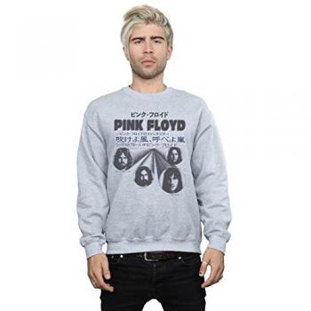 BI49293 Pink Floyd Grey Mens Hoodie